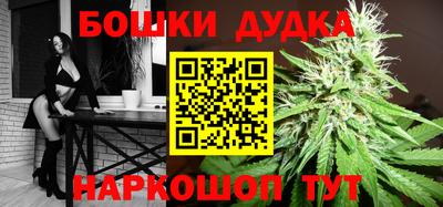 МДПВ Партизанск