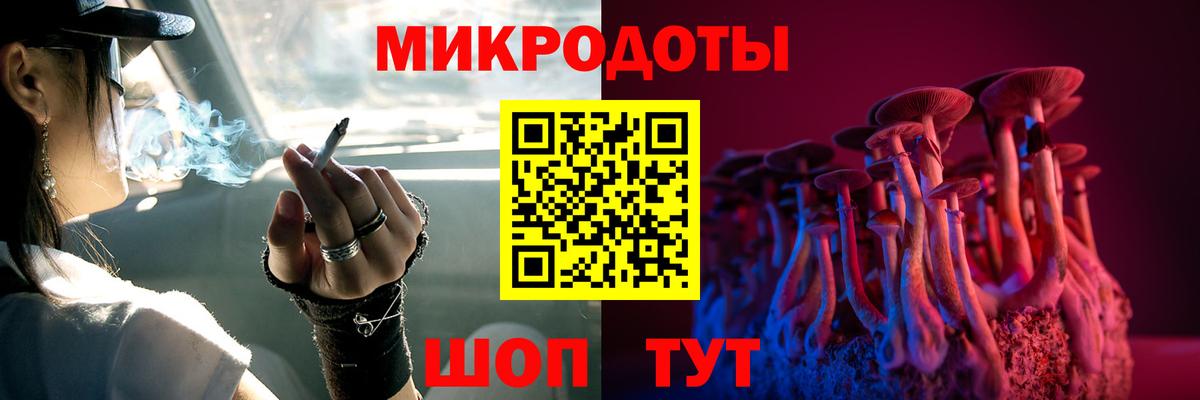 Галлюциногенные грибы MAGIC MUSHROOMS  Вход с VPN  Трёхгорный 